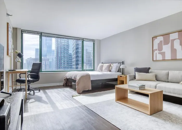 Streeterville Studio W Pool Gym Nr Park Chi-581