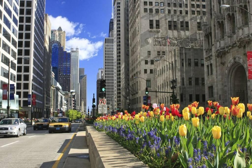 Apartment French Design Luxurious Downtown 3br Sleeps 8 Guests Chicago