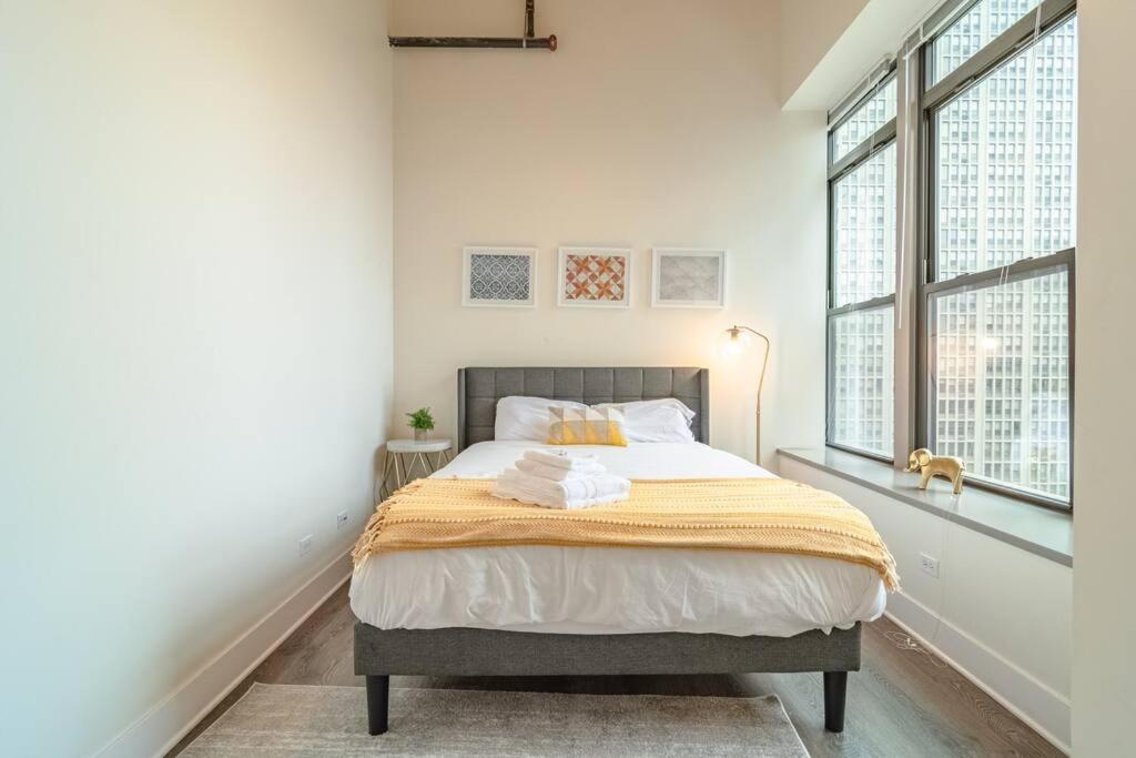 Luxury 2br With Optional Parking And Gym Access Near Mccormick Place And Soldier Field Apartment *