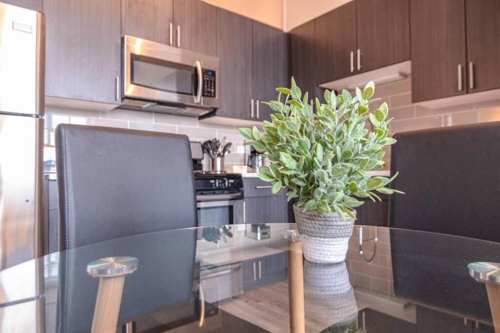 South Loop 3br Near Lakefront Trail, Field Museum & Adler Planetarium Apartment *