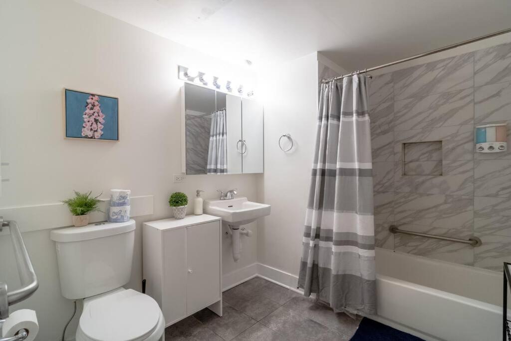 Elegant South Loop With Optional Parking And Gym Access Walk To Mccormick Place & Field Museum Apartment *