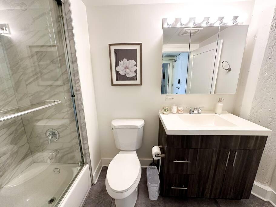 Cozy 3br Living In South Loop Near Mccormick Place, Soldier Field & Lakefront Apartment *