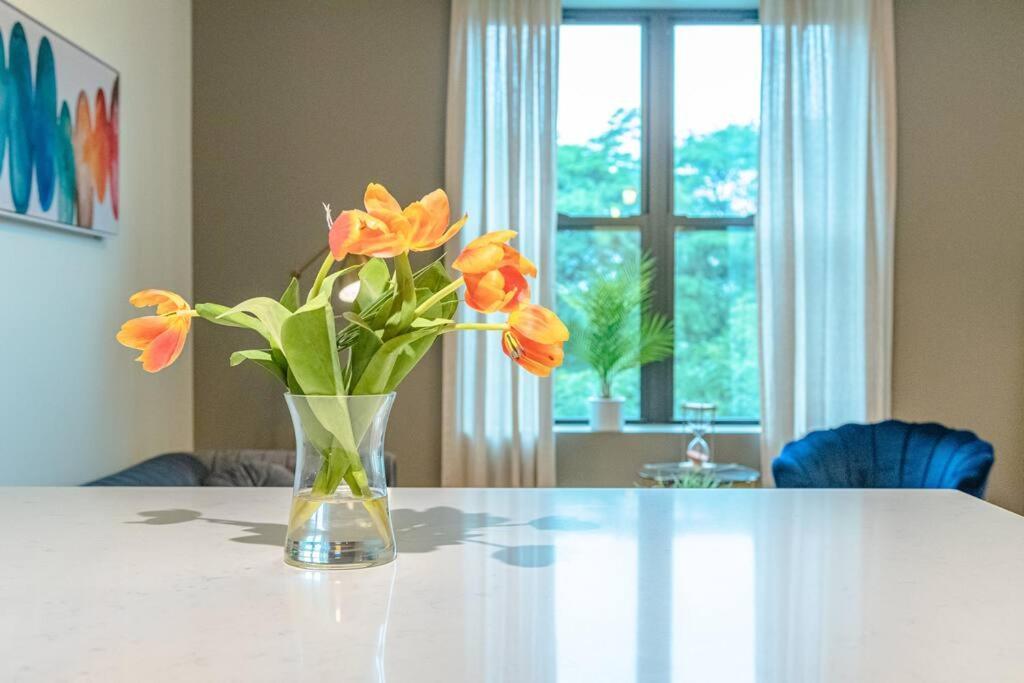Sleek And Spacious 3br Retreat Near Mccormick Place, Museum Campus And Soldier Field Apartment *