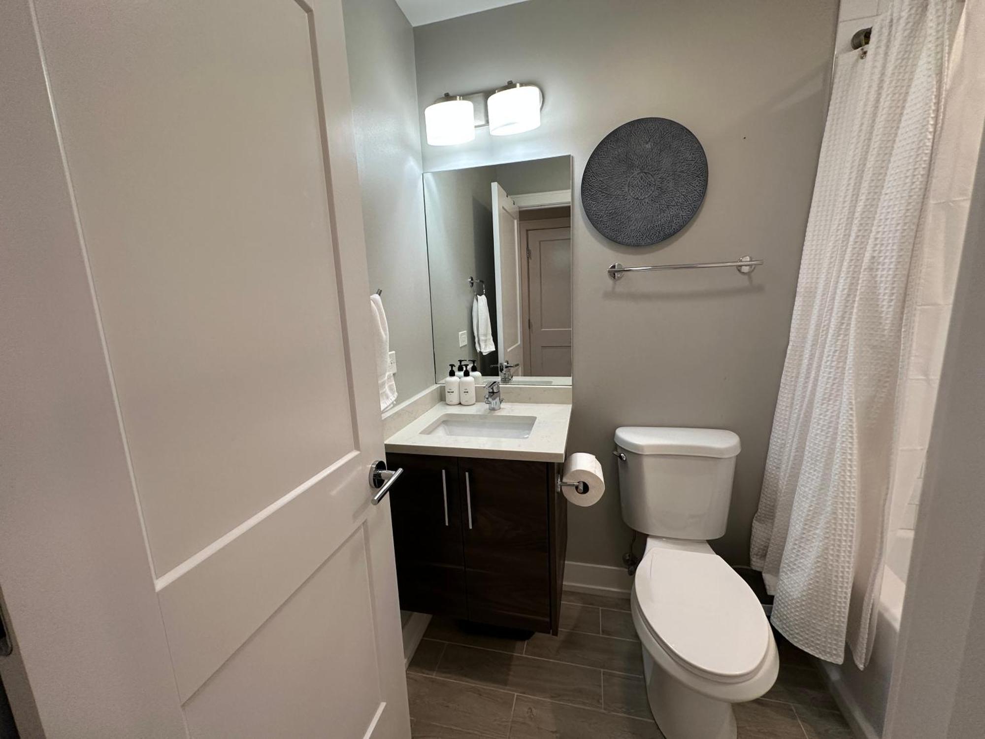 Modern Sfh Near Mccormick Place & Soldier Field * Chicago