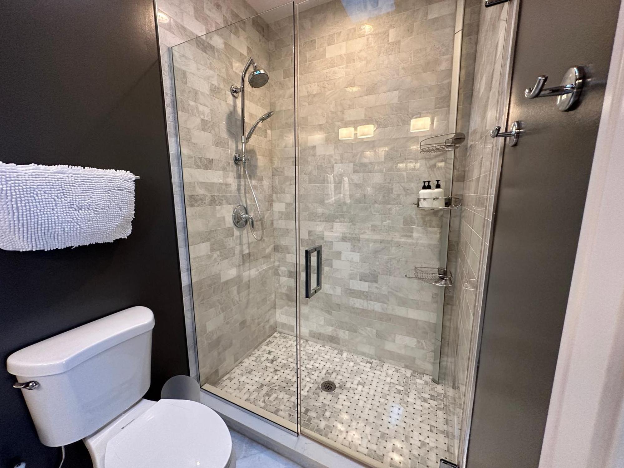 Modern Sfh Near Mccormick Place & Soldier Field * Chicago