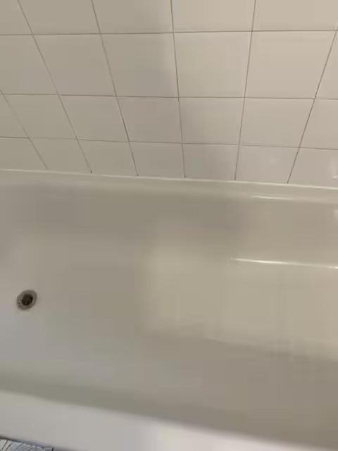 Apartment Luxurious Andersonville Oasis