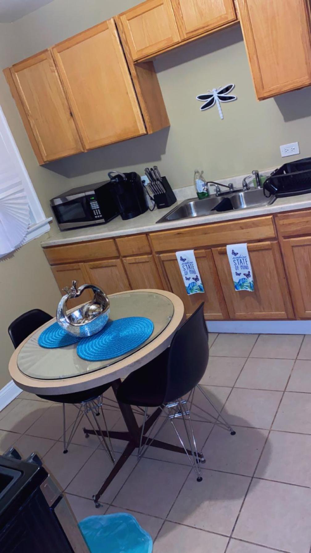 Luxury 3br, 1ba-5mins From Hyde Park Chicago