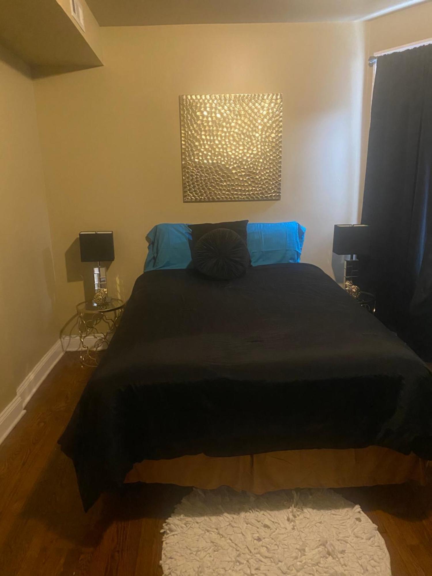 Apartment Luxury 3br, 1ba-5mins From Hyde Park
