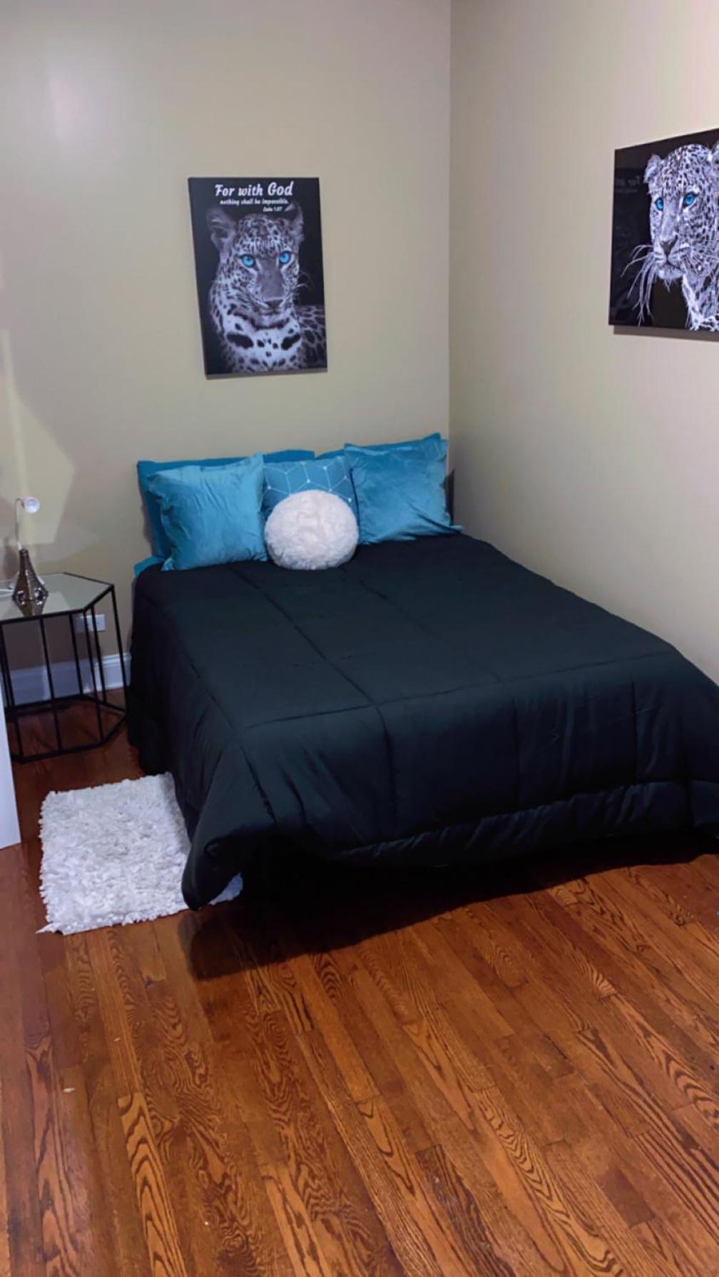 Luxury 3br, 1ba-5mins From Hyde Park Apartment *