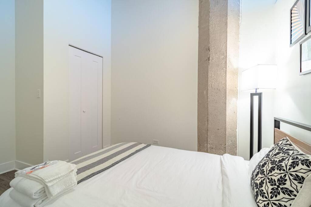 South Loop 3br Near Lakefront Trail, Field Museum & Adler Planetarium Apartment