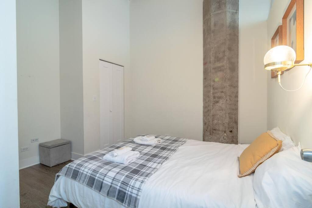 Bright And Stylish 2br On Michigan Ave Near Grant Park, Museum Campus And Lakefront Apartment Chicago