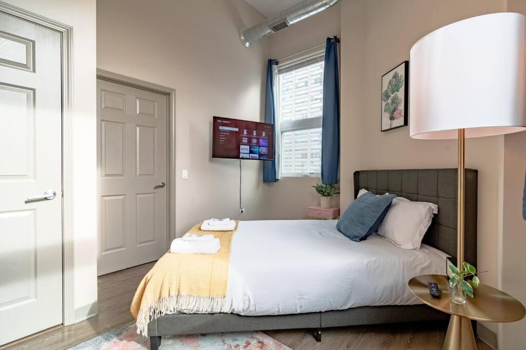 Modern 2br South Loop Gem Near Mccormick Place, Navy Pier, Adler Planetarium & Columbia College Apartment